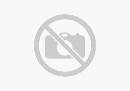 Seat Ibiza Style 1,2TSI 77 KW 5-trg. Ledersitze